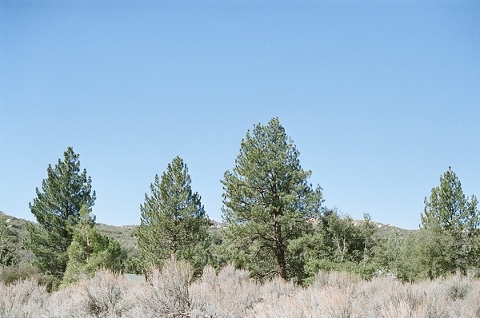 pine valley ca-7